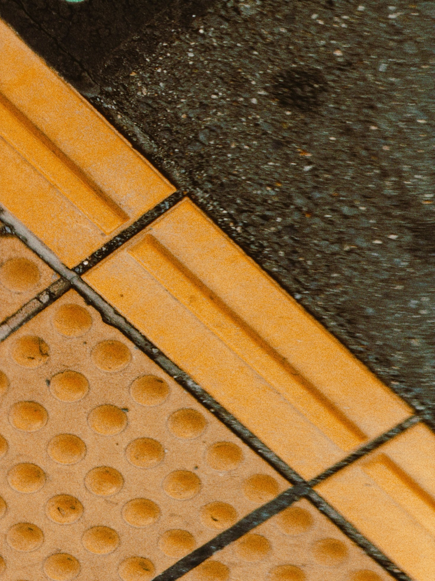 Academic Success in Visually Impaired Students